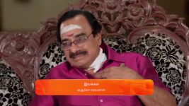 Anna (Tamil) S01 E576 15th January 2025
