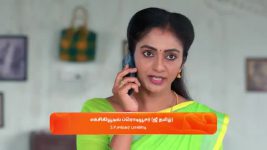 Anna (Tamil) S01 E591 1st February 2025