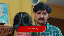 Chinni (Star Maa) S01 E175 Nagavalli's Path to Vengeance