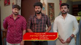 Gunde Ninda Gudi Gantalu S01 E341 Sathyam's Advice to Prabavathi