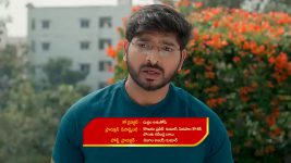 Gunde Ninda Gudi Gantalu S01 E347 Shobana, Prabavathi's Dispute