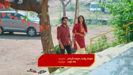 Intinti Ramayanam (Star Maa) S01 E179 Pallavi's Plan Backfires