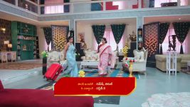 Intinti Ramayanam (Star Maa) S01 E191 Pallavi's Ultimatum