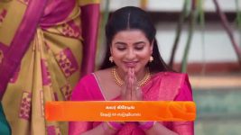 Karthigai Deepam S01 E718 20th January 2025