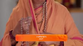 Karthigai Deepam S01 E719 21st January 2025