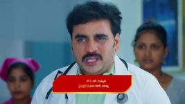 Karthika Deepam S02 E264 Kanchana's Plea to Shivanarayana