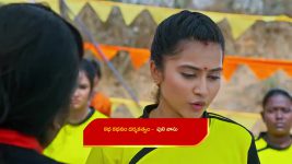 Maguva O Maguva S01 E291 Chamundi, Ravi Babu's Evil Move