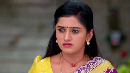 Paape Maa Jeevana Jyothi S01 E1166 Sunandha Denies Simhadri's Plea