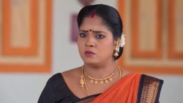 Sandhya Raagam (Tamil) S01 E426 17th January 2025
