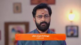 Sandhya Raagam (Tamil) S01 E429 21st January 2025