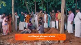 Sandhya Raagam (Tamil) S01 E430 22nd January 2025