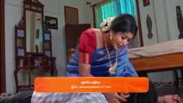 Sandhya Raagam (Tamil) S01 E431 23rd January 2025