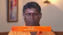 Sandhya Raagam (Tamil) S01 E432 24th January 2025