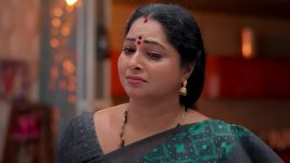 Satyabhama S01 E292 Bhairavi, Krish's Clash