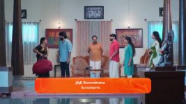Veera (Zee Tamil) S01 E244 15th January 2025