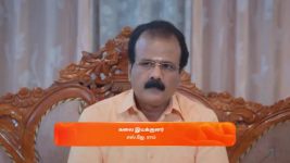 Veera (Zee Tamil) S01 E246 17th January 2025