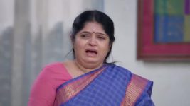 Veera (Zee Tamil) S01 E249 22nd January 2025