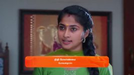 Veera (Zee Tamil) S01 E254 29th January 2025