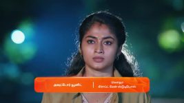 Veera (Zee Tamil) S01 E255 30th January 2025