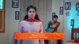 Veera (Zee Tamil) S01 E256 31st January 2025