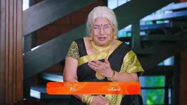 Amruthadhare S01 E519 2nd February 2025