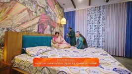 Amruthadhare S01 E527 10th February 2025