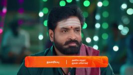 Anna (Tamil) S01 E602 14th February 2025