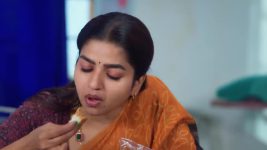 Anna (Tamil) S01 E605 18th February 2025