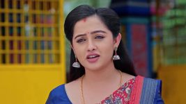 Annapoorna S01 E799 11th February 2025