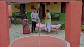 Annapoorna S01 E800 12th February 2025