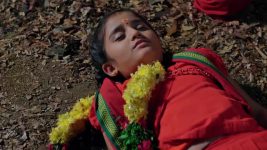 Annapoorna S01 E802 14th February 2025