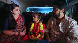 Annapoorna S01 E803 17th February 2025