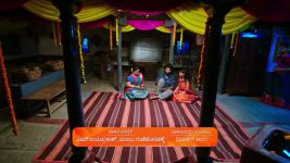Annayya (Zee Kannada) S01 E134 14th February 2025