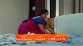 Chamanthi (Zee Telugu) S01 E29 1st February 2025