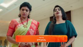Chamanthi (Zee Telugu) S01 E39 12th February 2025