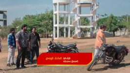 Illu Illalu Pillalu (Star Maa) S01 E74 Bhadravati Disputes with Ramaraju