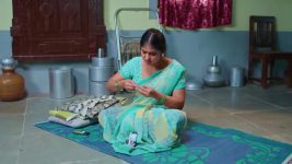 Intinti Ramayanam (Star Maa) S01 E204 Avani Reveals the Truth to Srikar