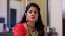 Jagadhatri (zee telugu) S01 E463 12th February 2025