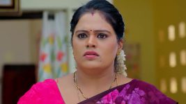 Janaki Ramayya Gari Manavaralu S01 E234 3rd February 2025