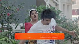 Janaki Ramayya Gari Manavaralu S01 E237 6th February 2025