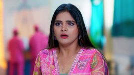 Janaki Ramayya Gari Manavaralu S01 E239 8th February 2025