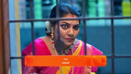 Janaki Ramayya Gari Manavaralu S01 E241 11th February 2025