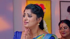 Janaki Ramayya Gari Manavaralu S01 E242 12th February 2025