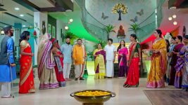 Janaki Ramayya Gari Manavaralu S01 E244 14th February 2025