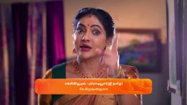 Karthigai Deepam S01 E743 15th February 2025