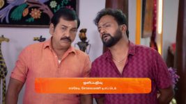 Karthigai Deepam S01 E744 17th February 2025