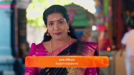 Karthigai Deepam S01 E751 25th February 2025