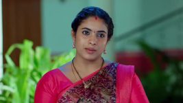 Maa Annaya (Zee Telugu) S01 E285 3rd February 2025