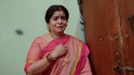 Maa Annaya (Zee Telugu) S01 E287 5th February 2025