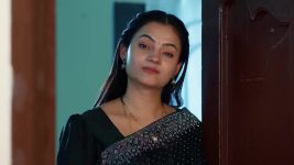 Maa Annaya (Zee Telugu) S01 E293 12th February 2025